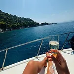 Our Cruises