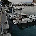 Our Cruises