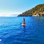 Our Cruises