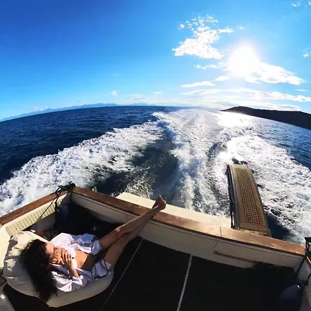 Our Cruises *