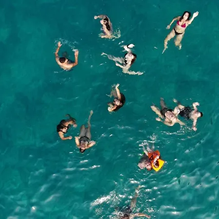 Our Cruises *