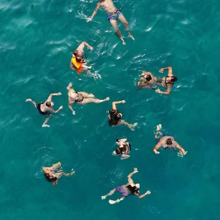 Our Cruises