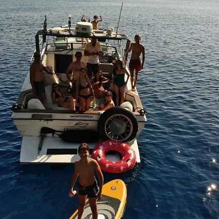 Our Cruises *