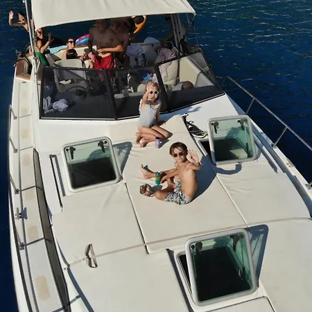Our Cruises