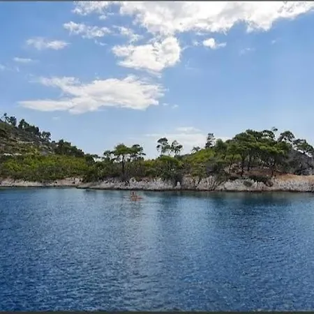 Our Cruises