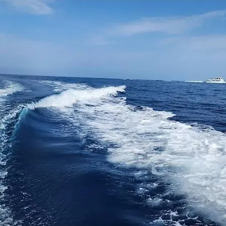 Our Cruises Botel