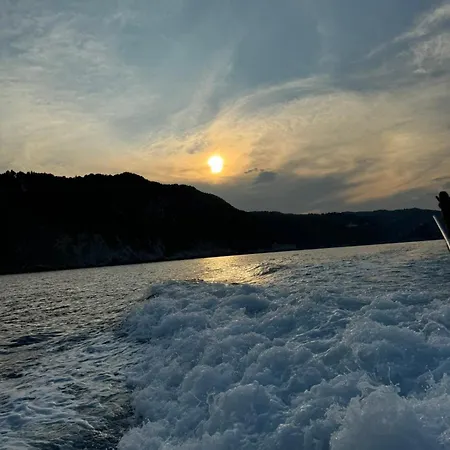 Our Cruises