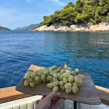 Our Cruises Botel *