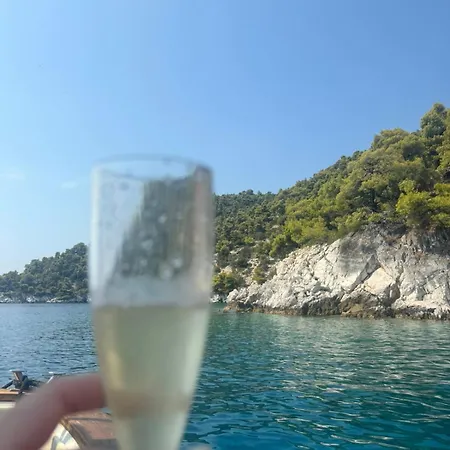 Our Cruises *