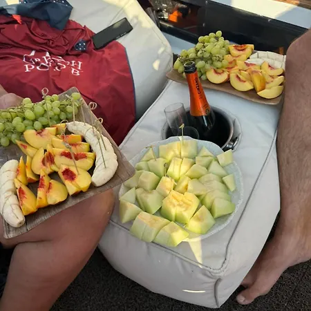 Our Cruises